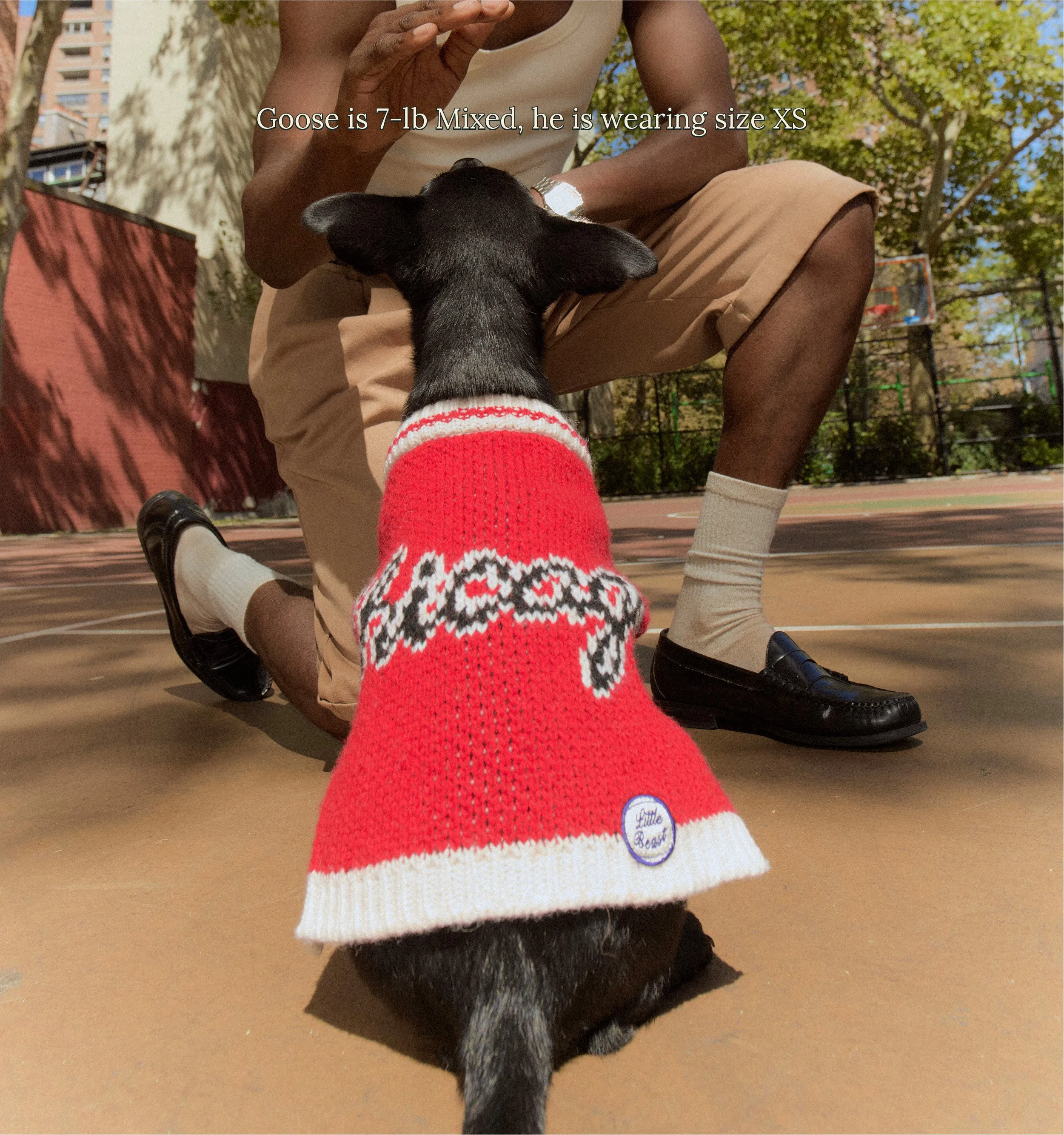 Chicago Bulls Dog Sweater - NBA