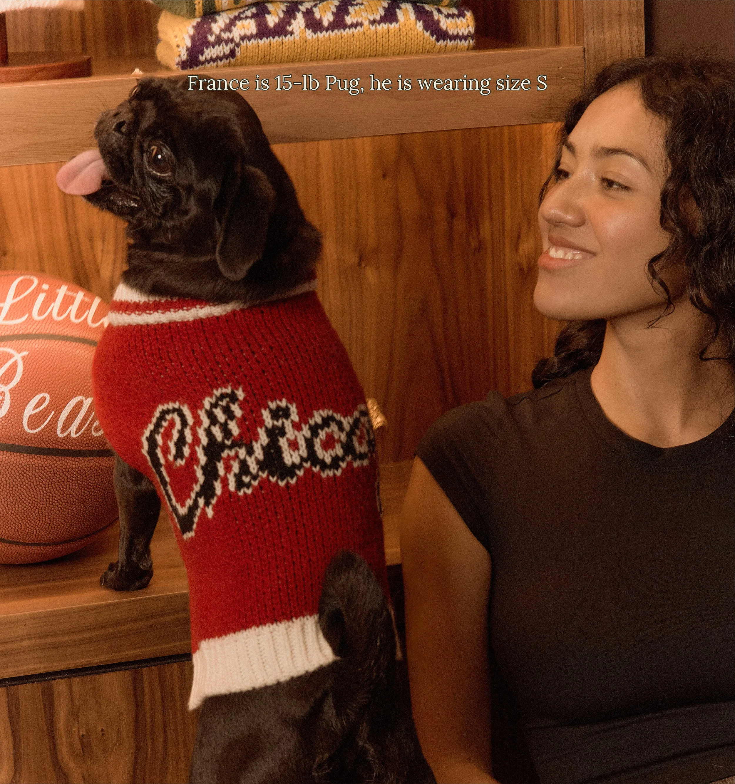 Chicago Bulls Dog Sweater - NBA
