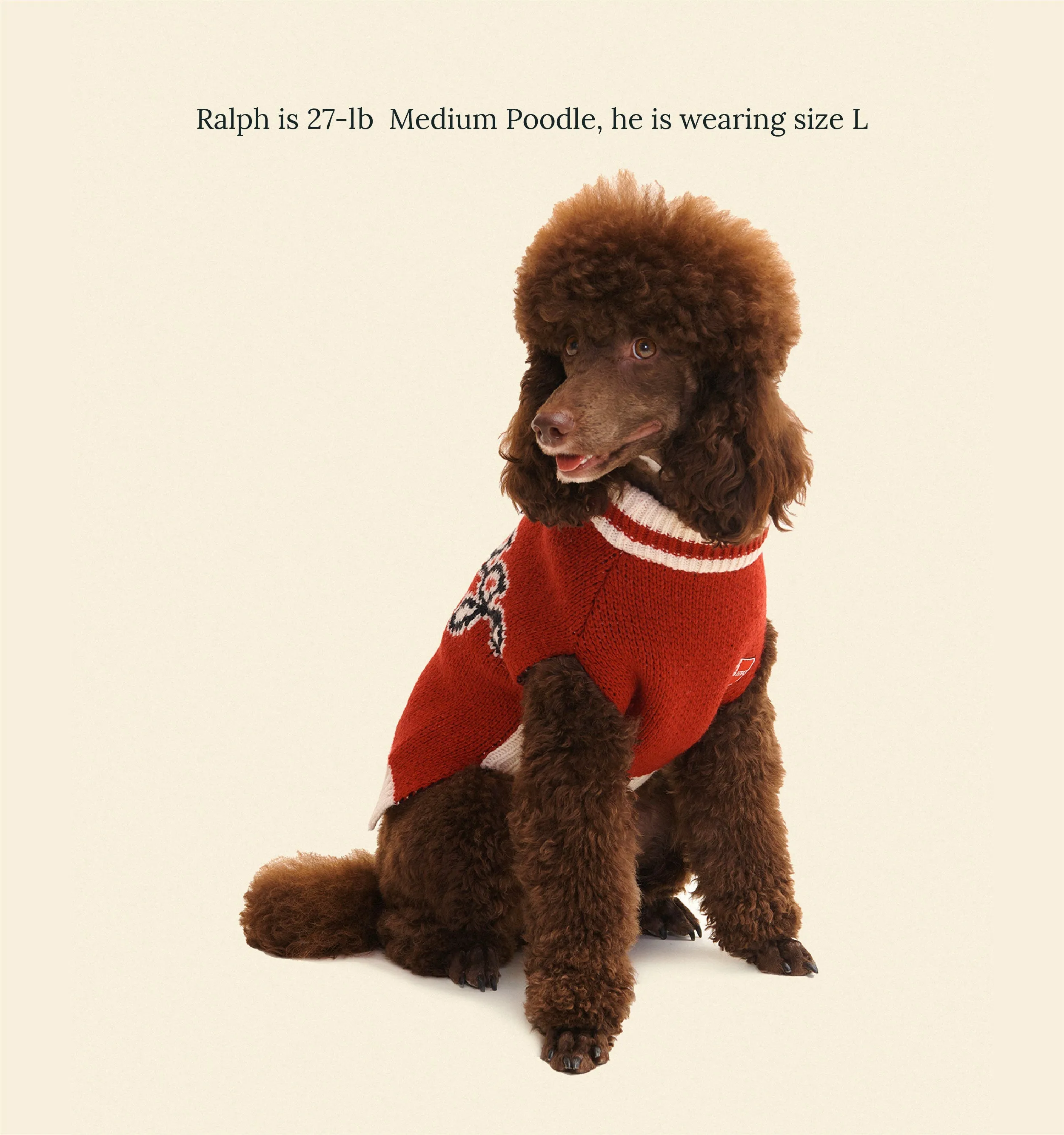 Chicago Bulls Dog Sweater - NBA