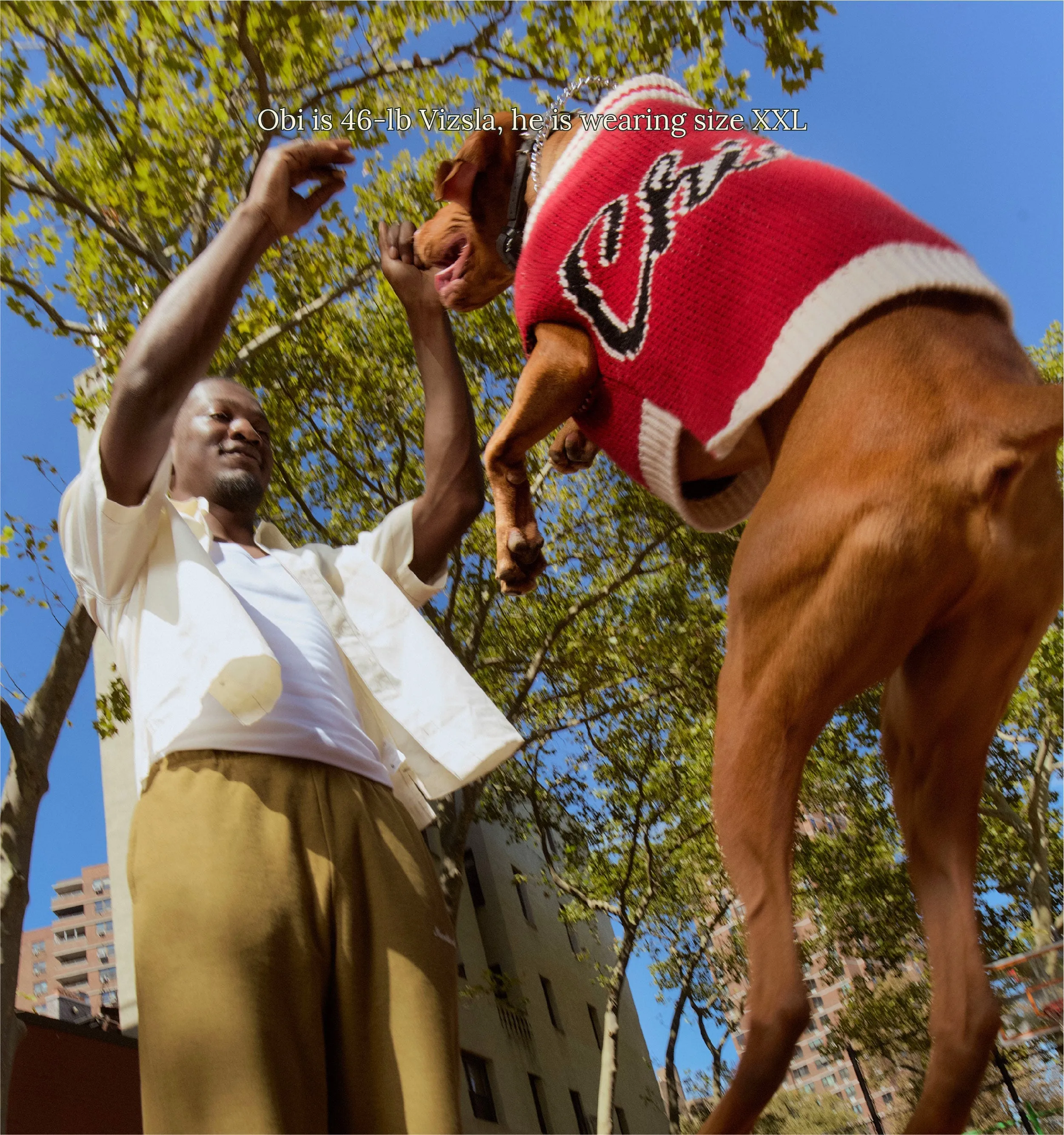 Chicago Bulls Dog Sweater - NBA