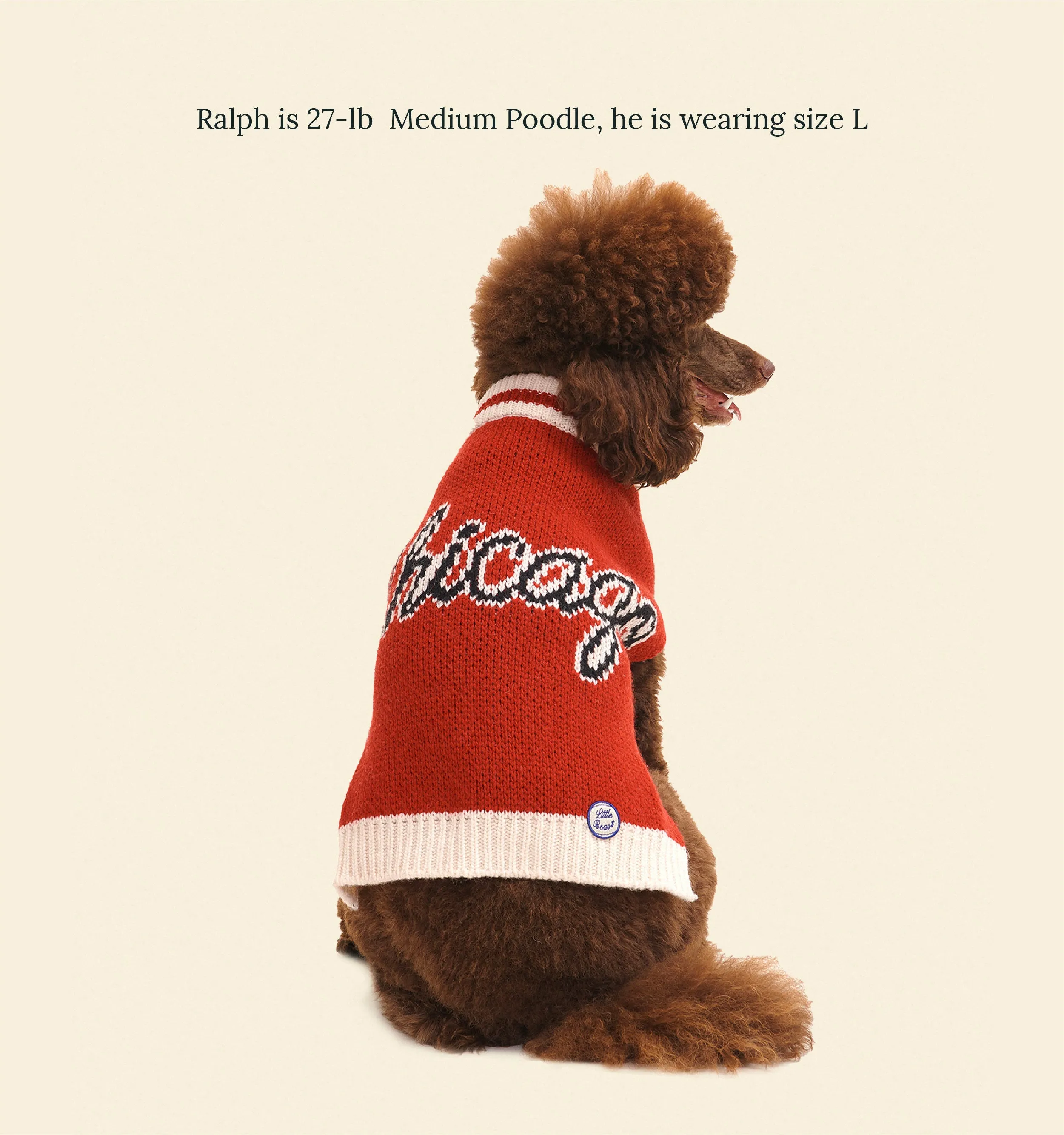 Chicago Bulls Dog Sweater - NBA