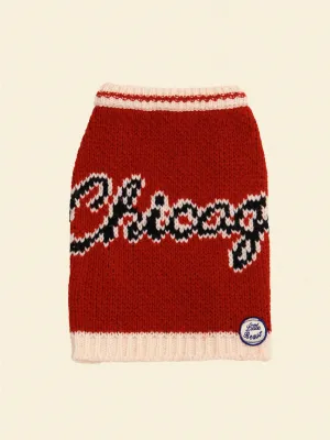 Chicago Bulls Dog Sweater - NBA
