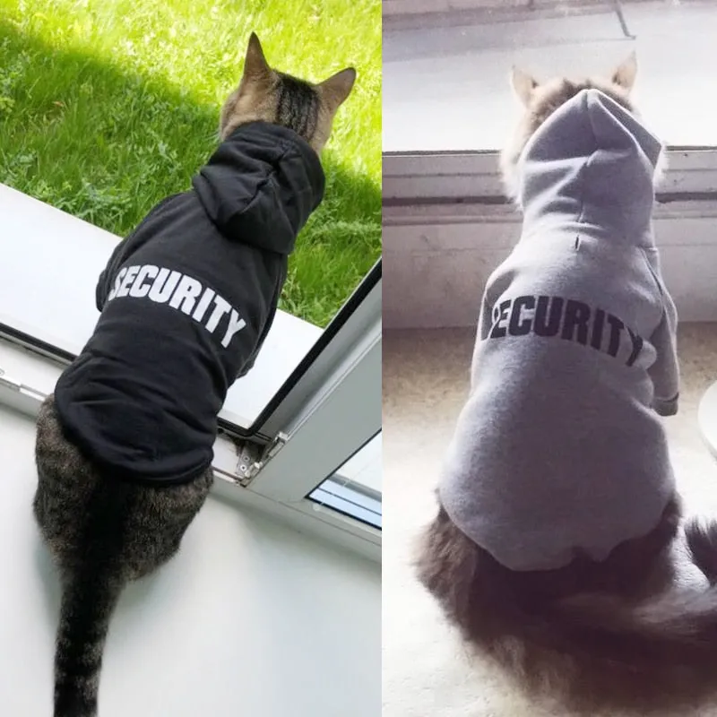 Must Have Dog Coats
