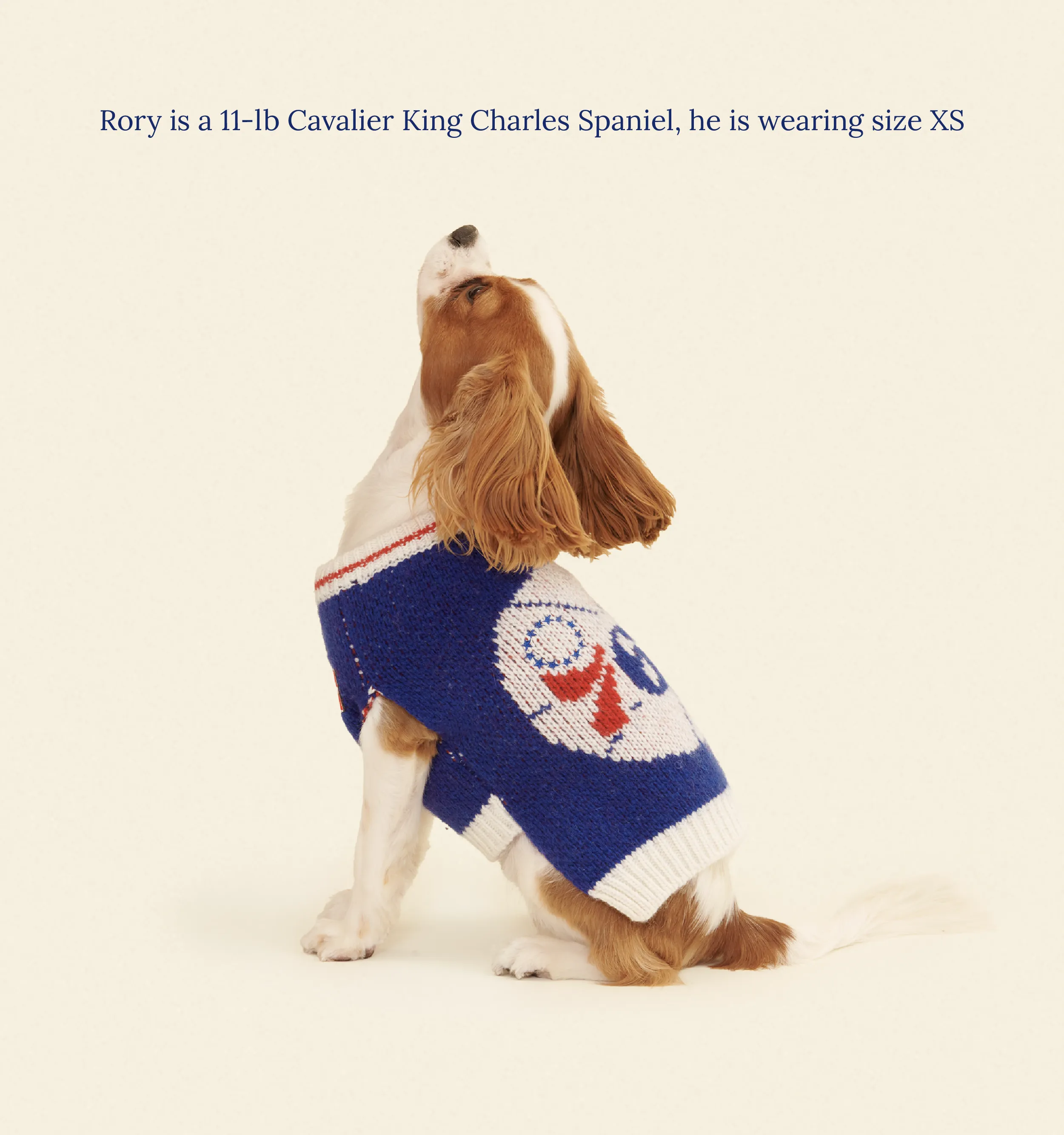 Philadelphia Sixers Dog Sweater - NBA